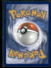 SWSH: Sword & Shield Promo Cards Charizard VMAX #SWSH261