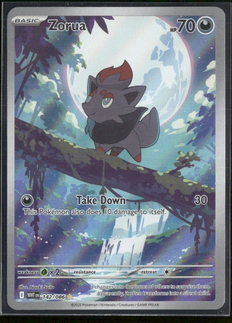 SV: White Flare Zorua #142/086