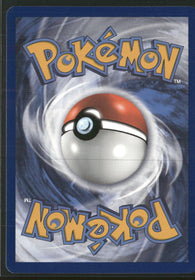 SWSH: Sword & Shield Promo Cards Lance's Charizard V #SWSH133