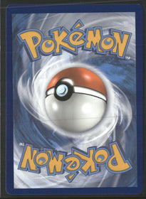 SWSH06: Chilling Reign Blaziken V (Full Art) #161/198