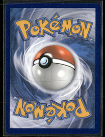 SWSH: Sword & Shield Promo Cards Charizard V #SWSH260