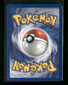 Black and White Promos Minccino (Cracked Ice Holo) #BW13