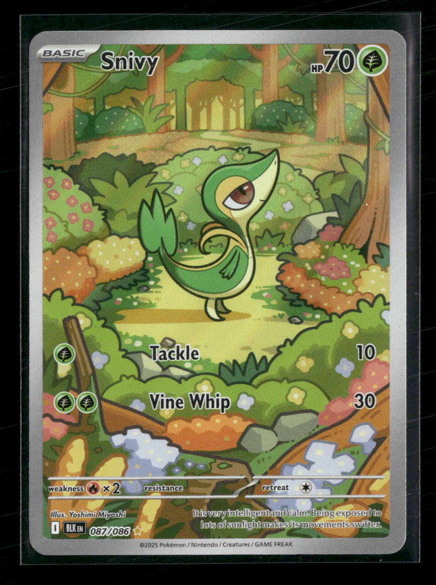 SV: Black Bolt Snivy #087/086