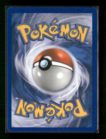 Miscellaneous Cards & Products Entei (Cracked Ice Holo) #004/132