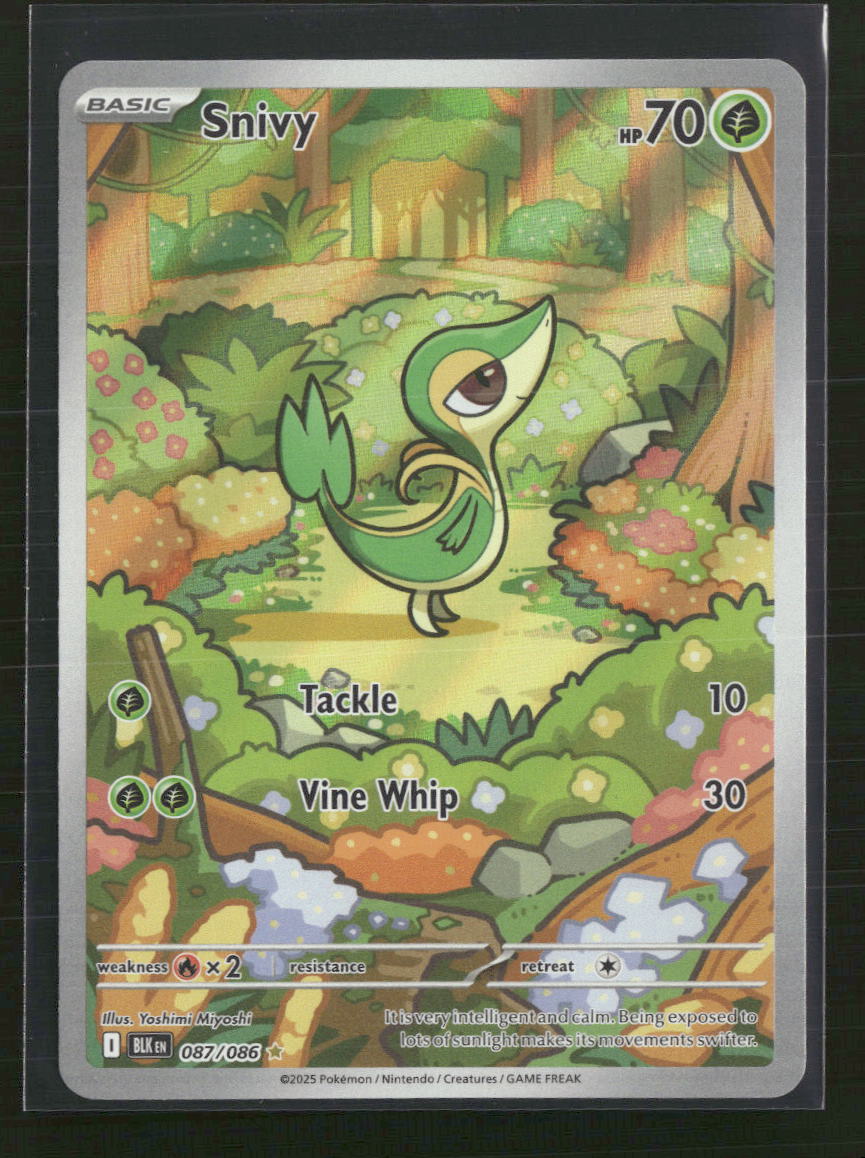 SV: Black Bolt Snivy #087/086