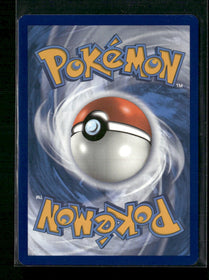 SWSH: Sword & Shield Promo Cards Pikachu #SWSH039