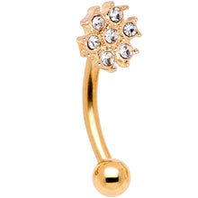 16G 5/16 Gem Golden Variety Curved Eyebrow Daith Rook Set of 4