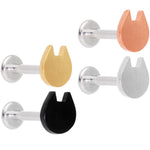 16G 5/16 Multicolor Internally Threaded Cat Labret Set of 4