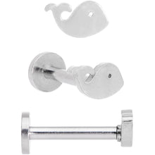 16G 5/16 Multicolor Internally Threaded Whale Labret Set of 4