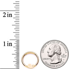 16G 3/8 Gold Tone Whale of a Hinged Segment Ring