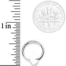 16G 3/8 Mythical Unicorn Hinged Segment Ring