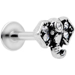 16G 5/16 Clear Gem Regal Elephant Labret Monroe Tragus