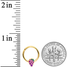 16G 3/8  Gold Tone Sweet Purple Grapes Hinged Segment Ring