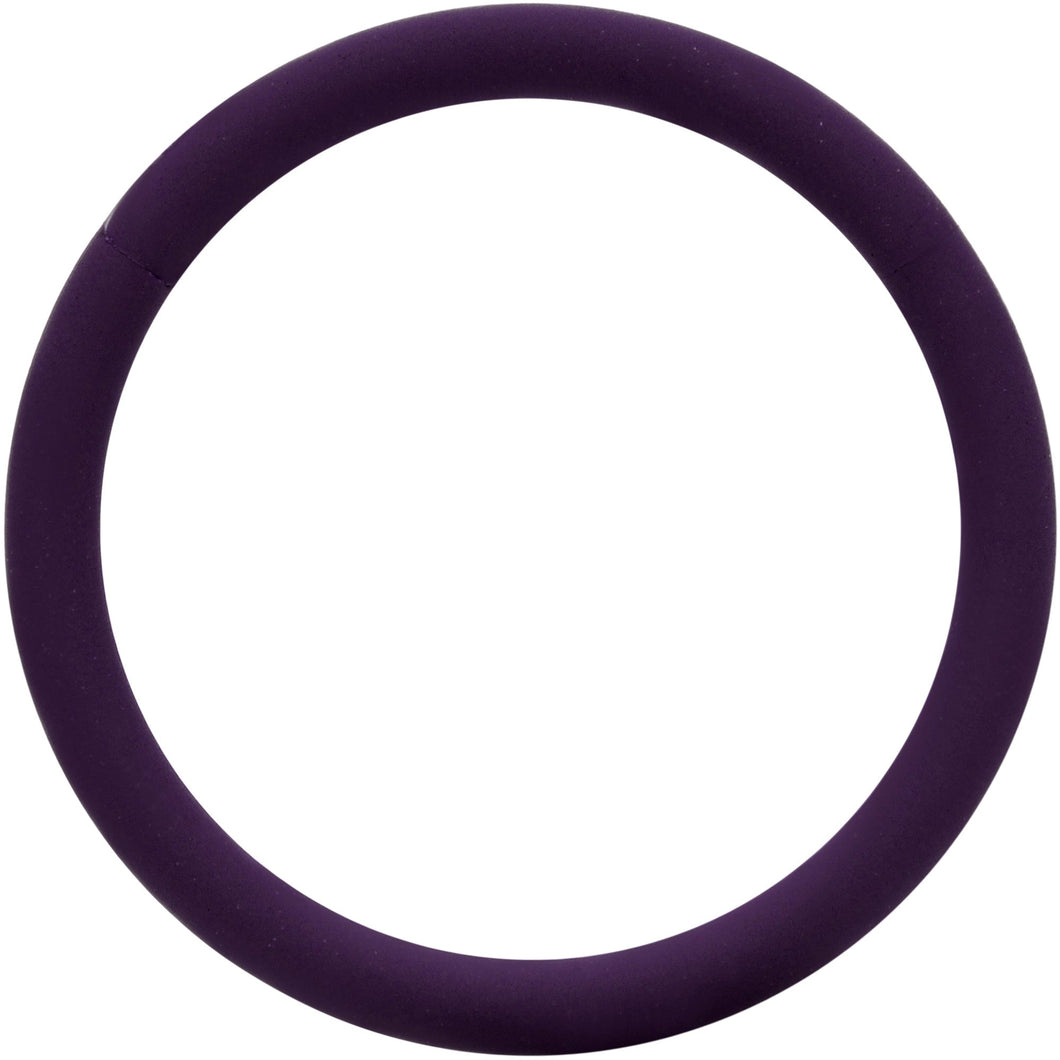 18G 3/8 Dark Purple Matte Cartilage Hinged Segment Ring