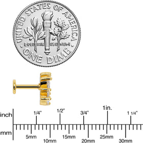16G 1/4 Clear CZ Gem Gold Tone Fan Internal Thread Labret Tragus