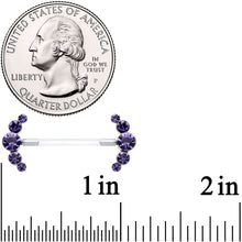 14G 13/16 Purple Gem Bioplast Simple Curvation Nipple Ring Set