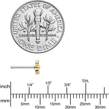 20G 1/4 Gold Tone White Texture Daisy Flower Nose Bone