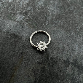 16G 3/8 Clear Gem Starry Flower Hinged Segment Ring