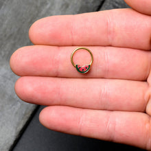 16G 3/8 Gold Tone Watermelon Bite Hinged Segment Ring