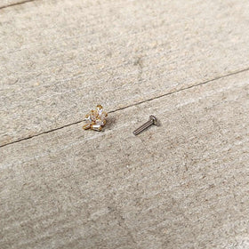 16G 1/4 Clear CZ Gem Leafy Golden Branch Threadless Labret Tragus