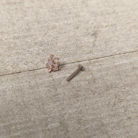 16G 5/16 Clear CZ Gem Leafy Rosy Branch Threadless Labret Tragus