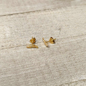 20G Gold Tone ASTM F-136 Implant Grade Titanium Fashion Feather Stud Earrings