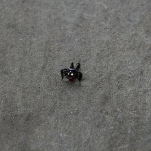 20G 1/4 Black Halloween Witchy Smiling Spider Nose Bone