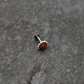 16G 5/16 Sweet Tiny Turkey Thanksgiving Labret Monroe Tragus