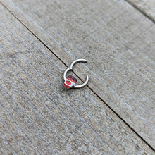 16G 5/16 Sweet Pumpkin Latte Autumn Hinged Segment Ring