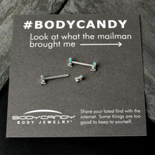 14G 9/16 Easter Bunny Blue Red Ears Barbell Nipple Ring Set