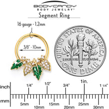 16G 3/8 Clear CZ Gem Gold Tone Leafy Beauty Hinged Segment Ring