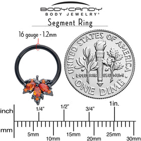 16G 3/8 Orange CZ Gem Black Autumn Leaf Hinged Segment Ring