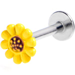16G 5/16 Sunny Simple Sunflower Labret Monroe Tragus