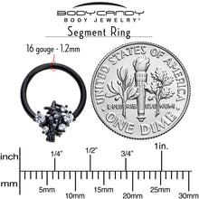16G 3/8 Clear CZ Gem Black Raven Witch Hinged Segment Ring