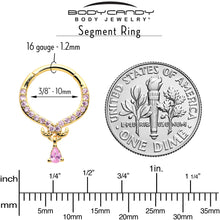 16G 3/8 Pink CZ Gem Gold Tone Elegant Curves Hinged Segment Ring