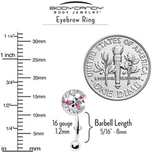 16G 5/16 Pink Gem Lunar Dragonfly Curved Eyebrow Ring