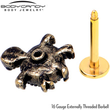 16G 5/16 Blue Gem Gold Tone Sweet Sea Turtle Labret Monroe Tragus