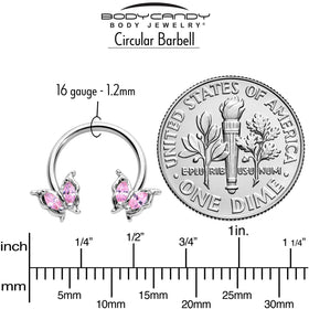 16G 3/8 Pink Gem Fancy Fab Butterfly Horseshoe Circular Barbell