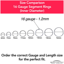 16G 1/4 316L Surgical Steel Precision Hinged Segment Hoop