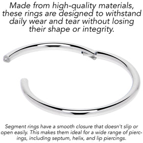 16G 13mm 316L Surgical Steel Precision Hinged Segment Hoop