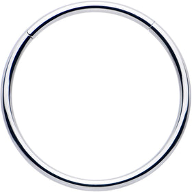 16G 5/8 316L Surgical Steel Precision Hinged Segment Hoop