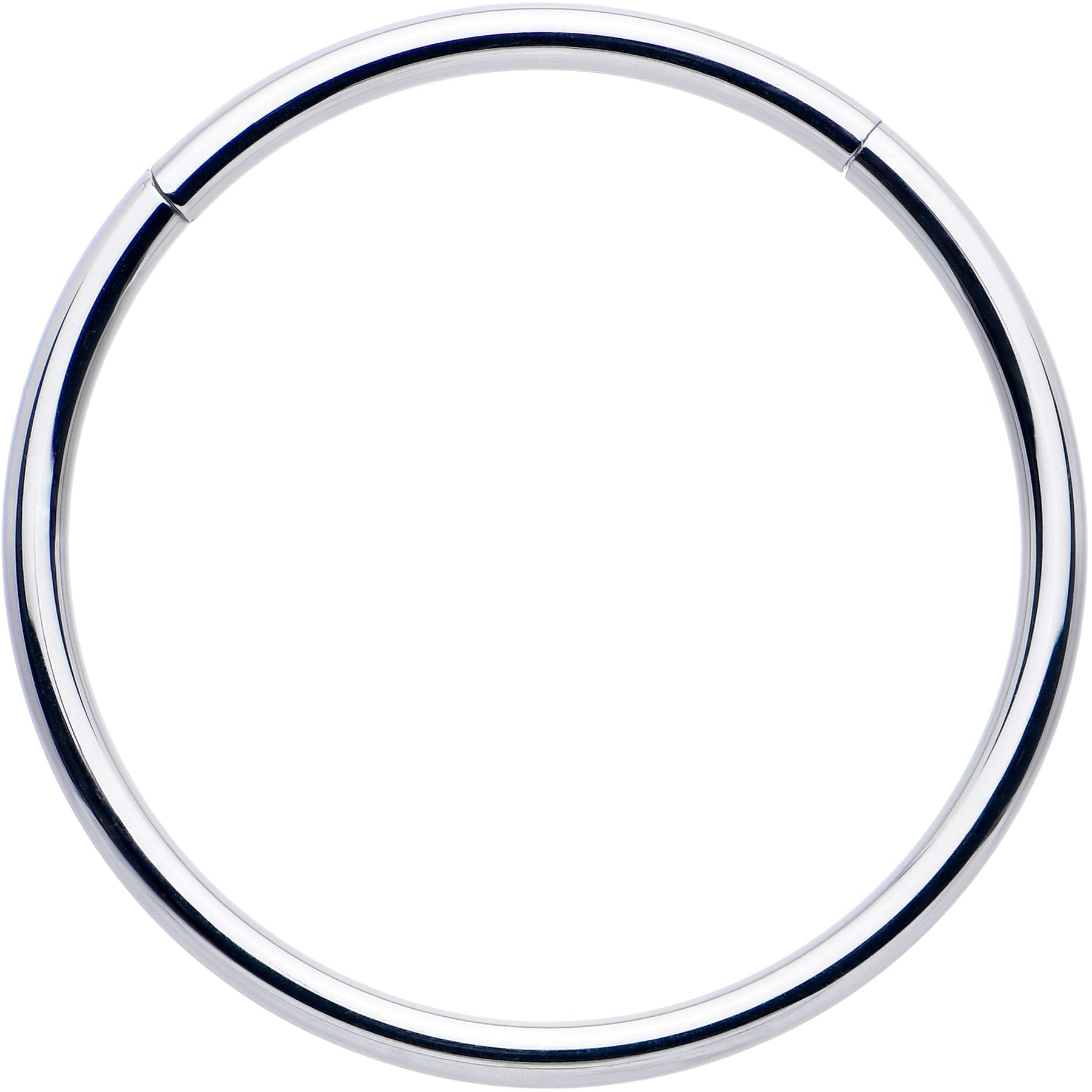 16G 5/8 316L Surgical Steel Precision Hinged Segment Hoop
