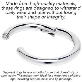 14G 1/2 316L Surgical Steel Precision Hinged Segment Hoop