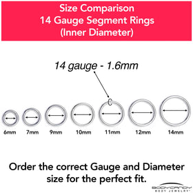 14G 9/16 316L Surgical Steel Precision Hinged Segment Hoop