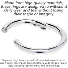 12G 5/16 316L Surgical Steel Precision Hinged Segment Hoop