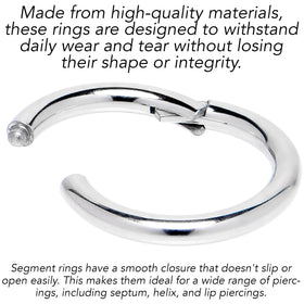 12G 3/8 316L Surgical Steel Precision Hinged Segment Hoop