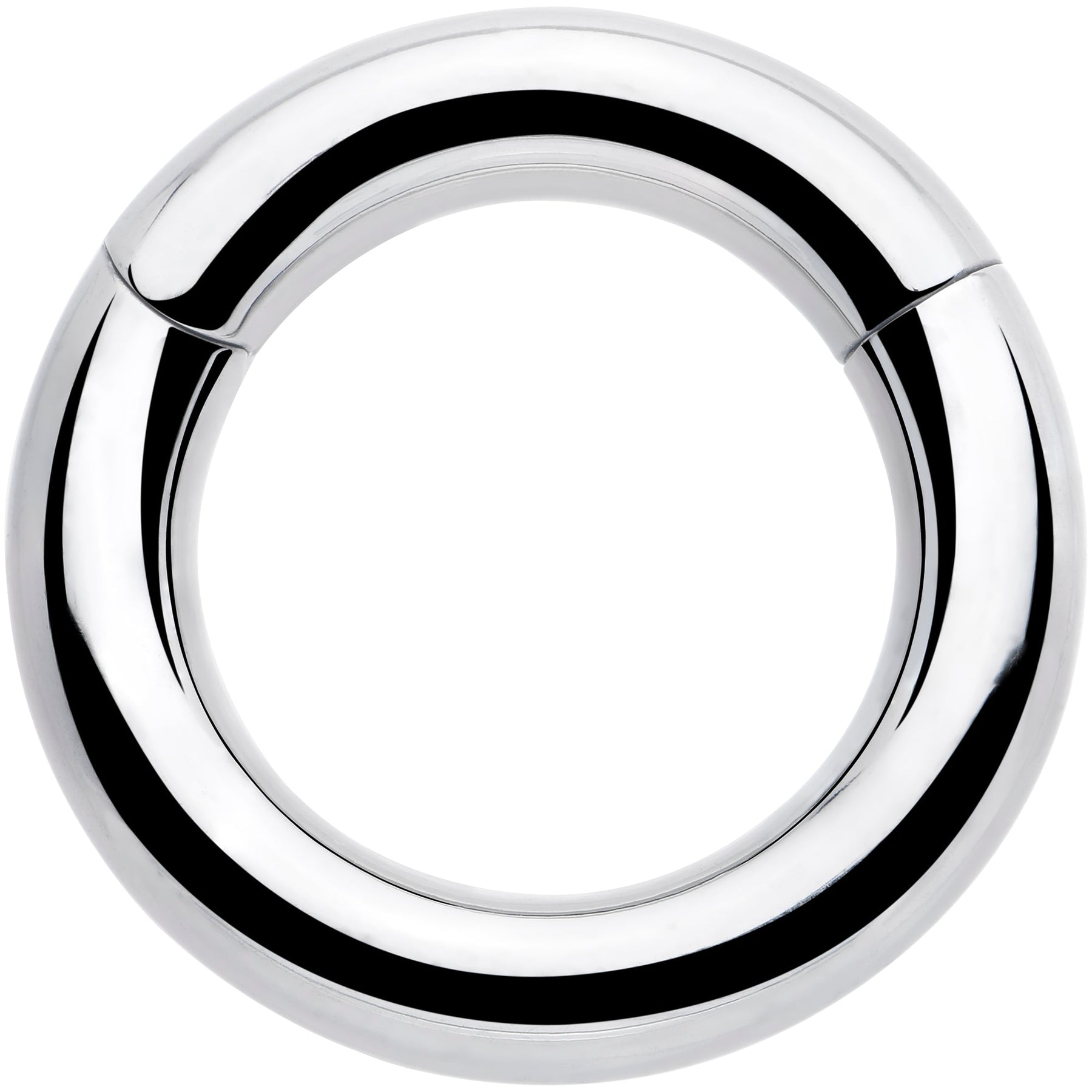 6G 9/16 316L Surgical Steel Precision Hinged Segment Hoop