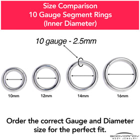 10G 3/8 316L Surgical Steel Precision Hinged Segment Hoop