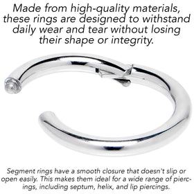 10G 5/8 316L Surgical Steel Precision Hinged Segment Hoop