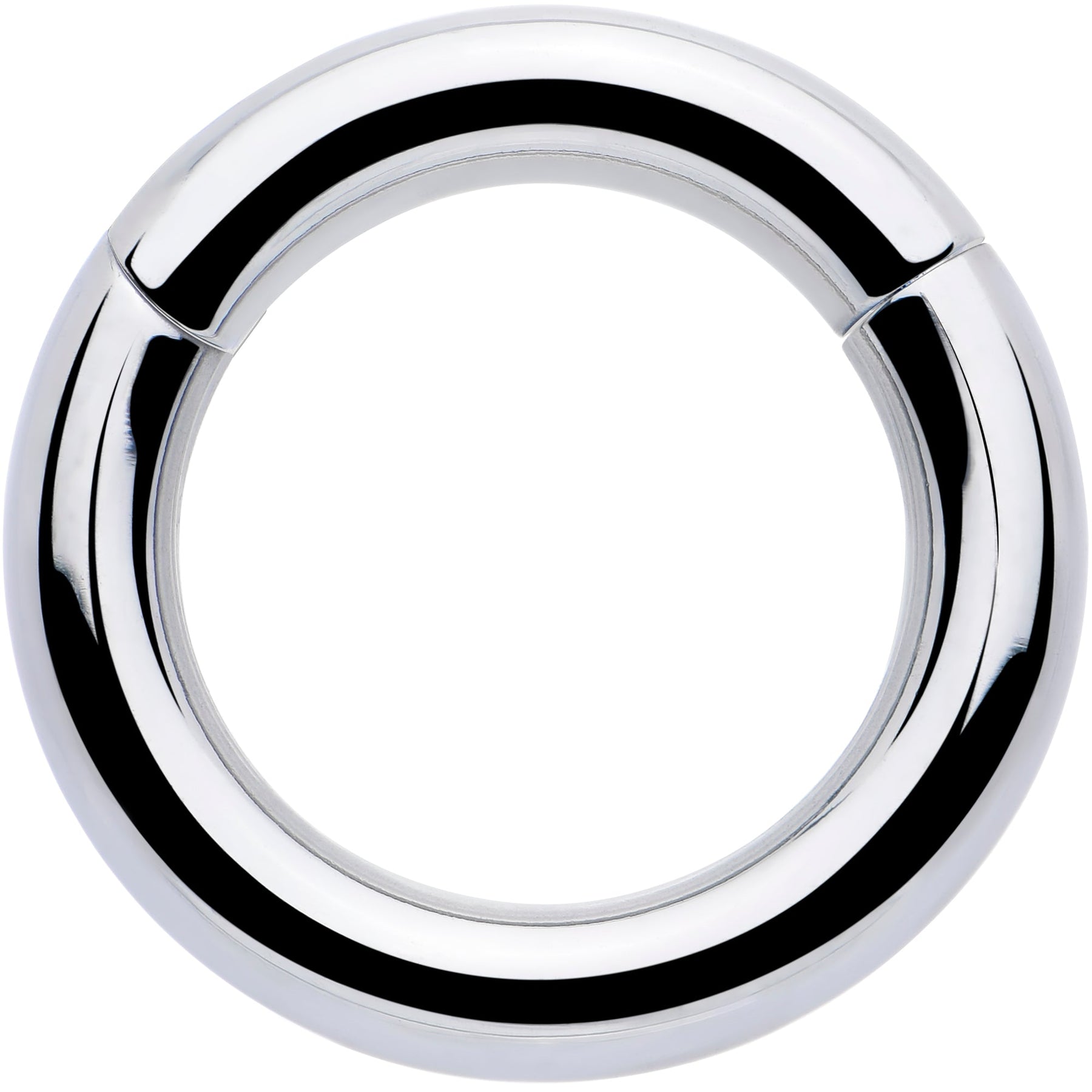 8G 1/2 316L Surgical Steel Precision Hinged Segment Hoop